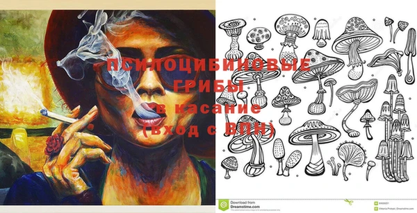 бошки Абдулино