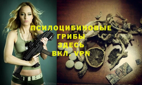 бошки Абдулино